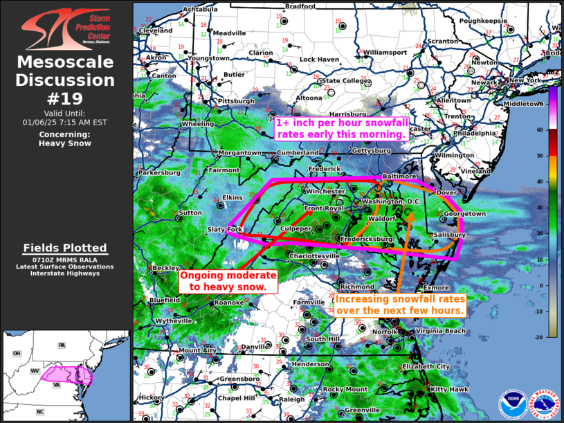 MD 19 graphic